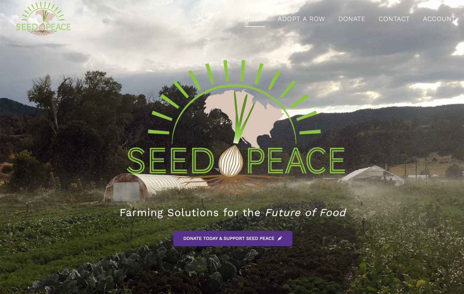 Seed Peace Blend Web Marketing